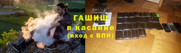 трава Ельня