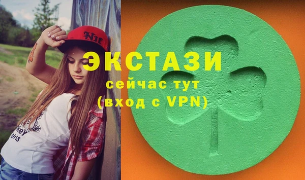 гидра Елабуга
