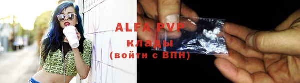 гидра Елабуга