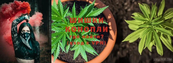 MESCALINE Дмитров